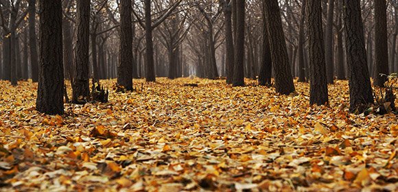 ������ЃR�~���j�P�[�V�����J���p�j�[�@�g�b�v�C���[�W